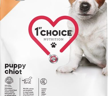 Nourriture 1st Choice chiot petit et miniature Online