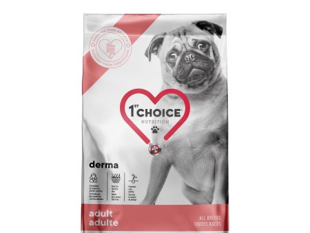 Nourriture 1st Choice chien adulte Derma Fashion