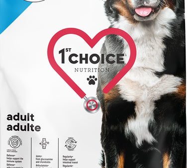 Nourriture 1st Choice chien adulte moyen et grand Online Hot Sale