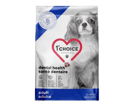 Nourriture 1st Choice chien adulte santé dentaire Supply