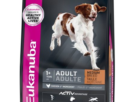 Nourriture Eukanuba chien adulte moyenne race Online Hot Sale