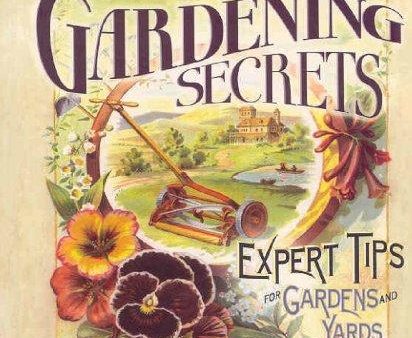 1519 All-natural, All-amazing Gardening Secrets: Expert Tips for Gardens and Yards of All Sizes Fashion